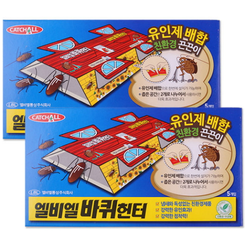 ������� ���� �������� 5����