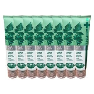 DKSH 덴티스테 뉴 플러스 화이트 치약 160g (8개)