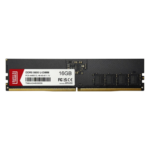 Ŀ�ξ��ھ� DDR5-5600 CL46