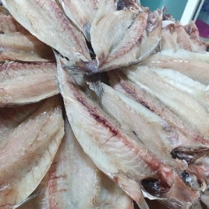 우체국쇼핑 반건조 활복 민어 34cm내외 250g이상 3마리이미지입니다. 누르면 해당 게시물로 새창이동합니다.