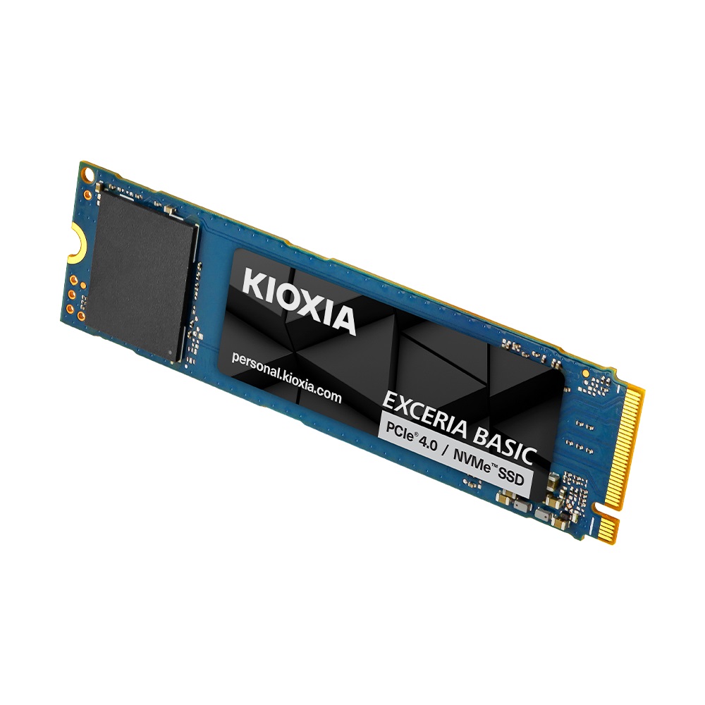 Ű���þ� EXCERIA BASIC M.2 NVMe