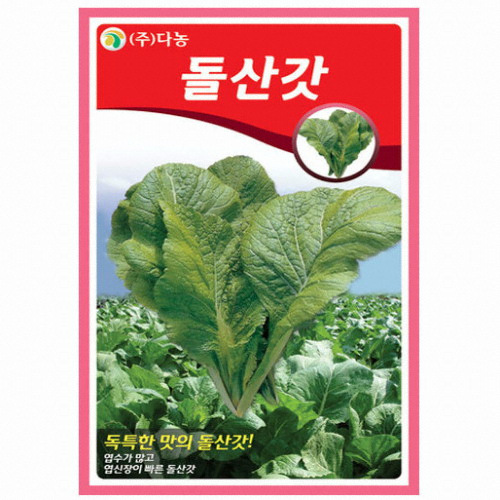 다농 돌산갓씨앗 20ml