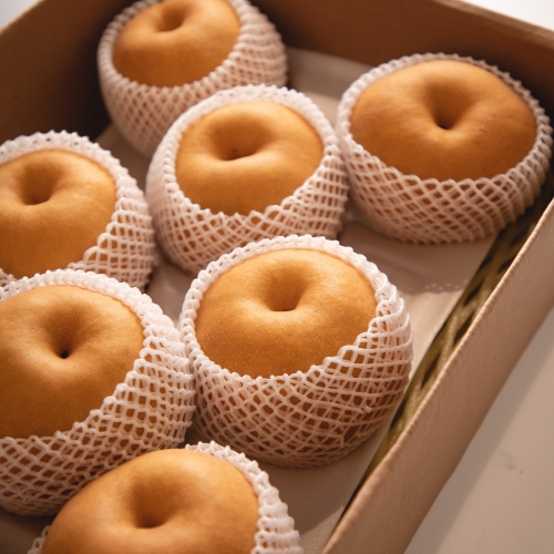 과일꾼 25년수확 햇배 나주배 가정용 5kg 8-9과