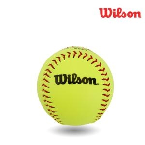 윌슨 연식용 소프트볼 WTA9117 야구공 배팅티 글러브 티볼