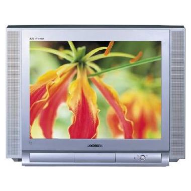 삼성전자 명품 CT-29K6V