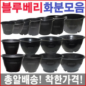 화분프라자 블루베리S-a형 화분이미지입니다. 누르면 해당 게시물로 새창이동합니다.