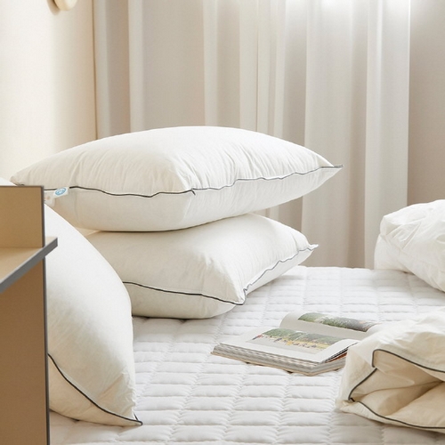 ���̸� ��ī�� ȭ��Ʈ ���������� 1000g