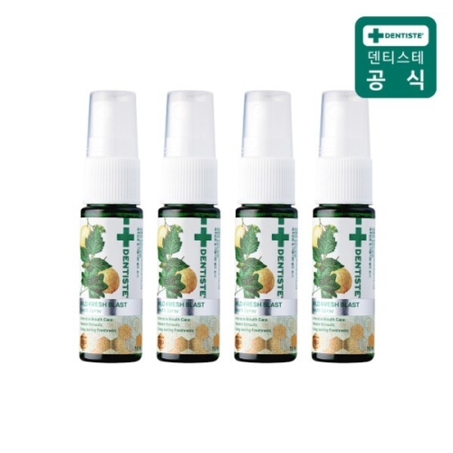 DKSH 덴티스테 마일드 후레쉬 블라스트 스프레이 15ml (4개)