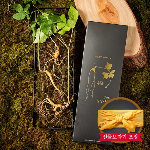 명가일품 명가천삼 강원도 토종 산양삼 선물세트 5~6년근 4뿌리 (2개)_이미지