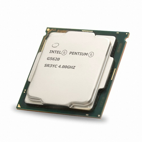 인텔 펜티엄 골드 G5620 (커피레이크-R) (정품)_이미지