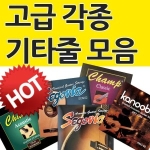 캐슬 어쿠스틱 기타줄 1047