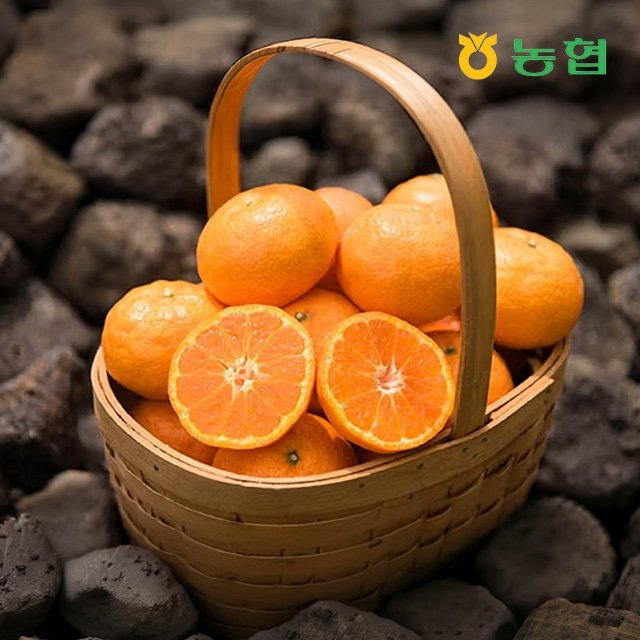 제주농협 귤로장생 제주 카라향 20~45과 4kg (1개)_이미지