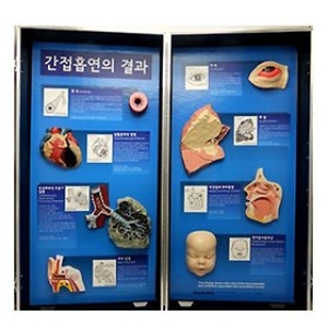 로보사이언스 금연/간접흡연의 결과/JS-33270/보건교육