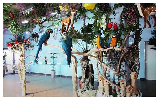 ㅤ부천 앵무새나라+아인스월드 패키지 (주간)_이미지