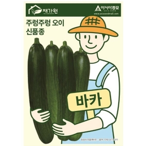 아시아종묘 오이씨앗종자 주렁주렁오이 10립_이미지