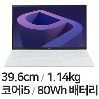 LG전자 2022 그램15(12세대) 15ZD90Q-GX56K WIN10