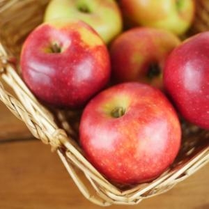 자연품애 가정용 부사 사과 10kg 중대과이미지입니다. 누르면 해당 게시물로 새창이동합니다.