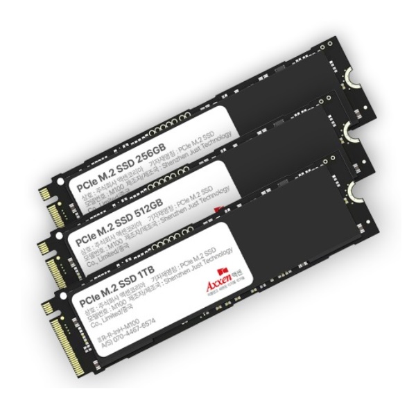 Axxen M100 M.2 NVMe (1TB)_이미지