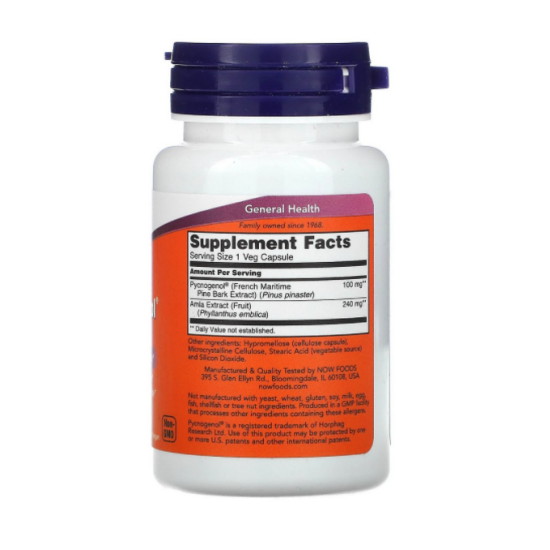 ����Ǫ�� ��ũ������ 100mg 60ĸ��