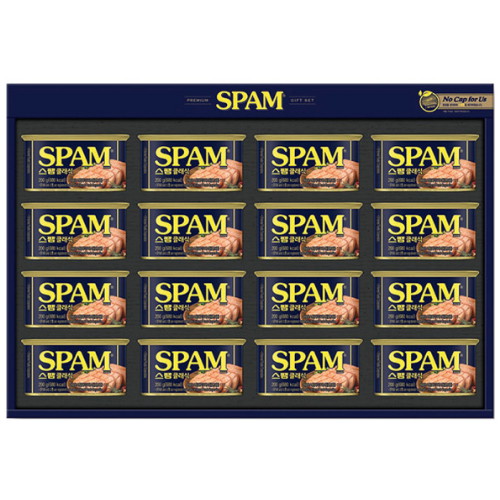 CJ제일제당 스팸 31호(구 21호, 14호) (1개)_이미지