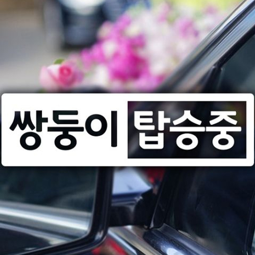 제제데코 자동차스티커 반전프레임 쌍둥이 (화이트)