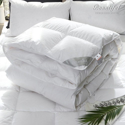 �ٿ�ƼǮ ���Ĵٵ� �����ٿ� 10% ȣ���̺� �ܿ��