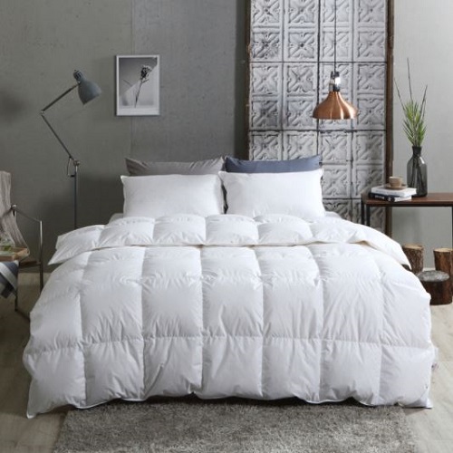 �ٿ�ƼǮ ���Ĵٵ� �����ٿ� 10% ȣ���̺� �ܿ��