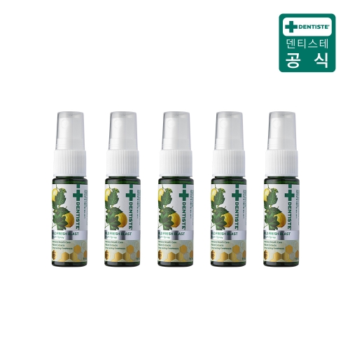 덴티스테 마일드 후레쉬 블라스트 스프레이 15ml (5개)_이미지
