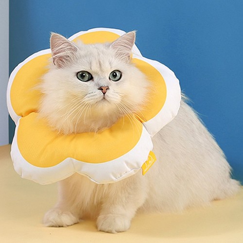 힐링타임 키티요요 넥카라 옐로우 (L)