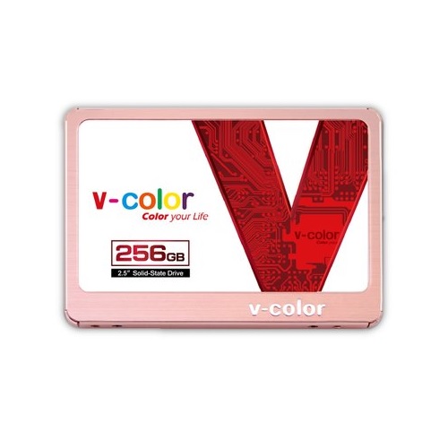 V-Color VSS100 (256GB)_이미지