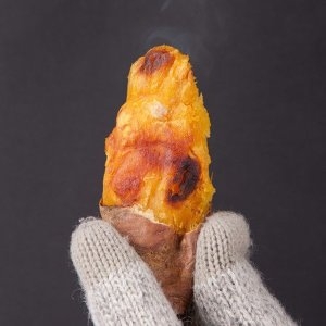 착한식탁 수확 해남 베니하루카 꿀고구마 10kg 한입