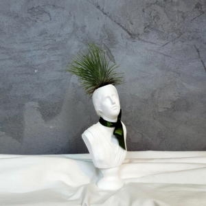 모리아트 니오베 석고상화분 틸란드시아 안드레아나+모스+리본