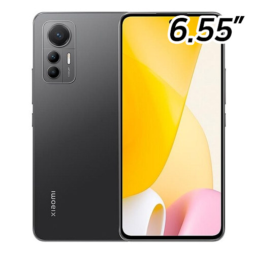 ������ 12 ����Ʈ 128GB, �ڱ���