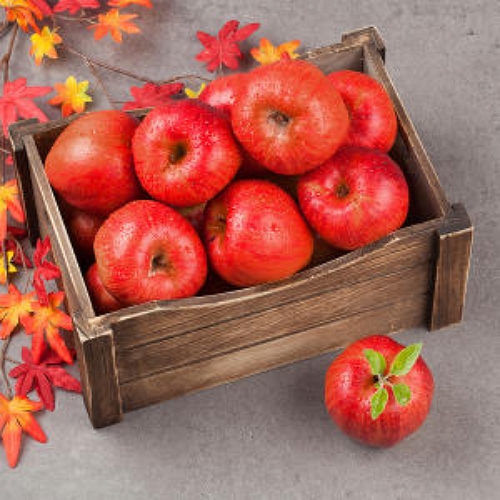 초록자연 고당도 고랭지 부사 사과 36~40개(과) 10kg