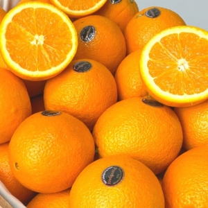 블랙라벨 퓨어스펙 오렌지 15과 대과