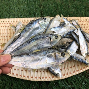 신건호멸치  상급 국산 디포리 1kg 밴댕이 멸치 건디포리