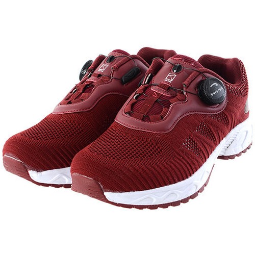 콜핑 카이저_이미지