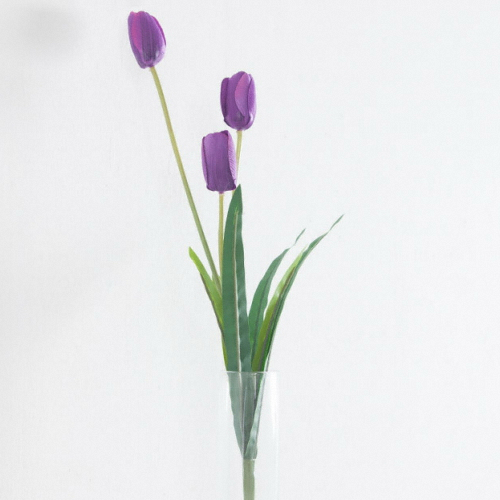 �ö��Ʈ�� �÷γ�ƫ������ 51cm