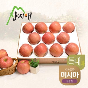 산지애 알뜰 못난이 사과 특대 4kg (1개)_이미지