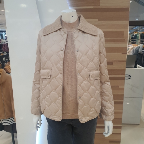 ���� �������е�����C54D001_BP