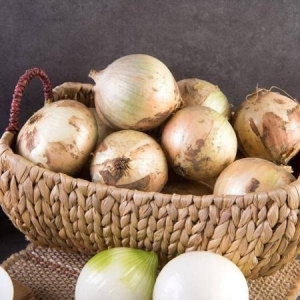 더착한 2022 정읍 햇 양파 혼합 3kg