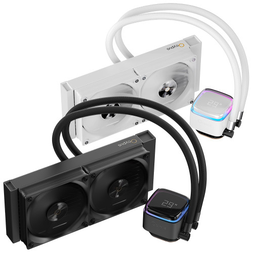 옥시푸스 아이오타 L24