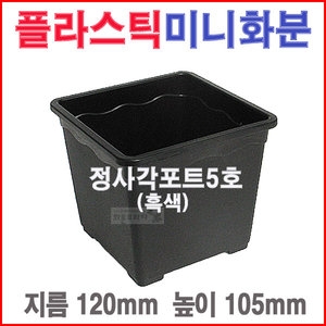 정사각포트5호 흑색 /미니소형/블루베리/플라스틱화분
