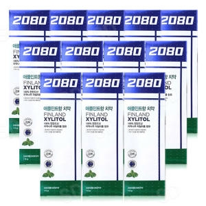 2080 자일리톨 애플민트향 치약 100g (12개)_이미지