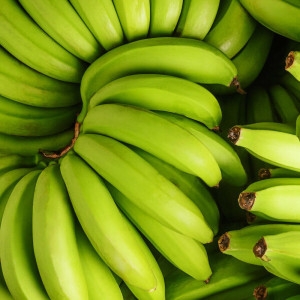 거북농산 청바나나 그린바나나 13kg 베트남or필리핀_이미지