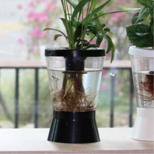 수족관 수경화분 꽃장식 화분케이스 거실화분 정원