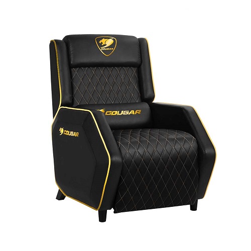 COUGAR RANGER ROYAL ���̹� ���� ��Ŭ���̳� 1�ο�