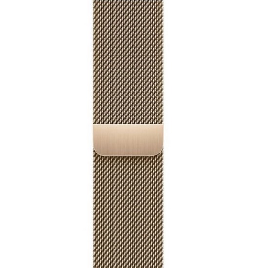 APPLE 밀레니즈 루프 (골드) (41mm)_이미지