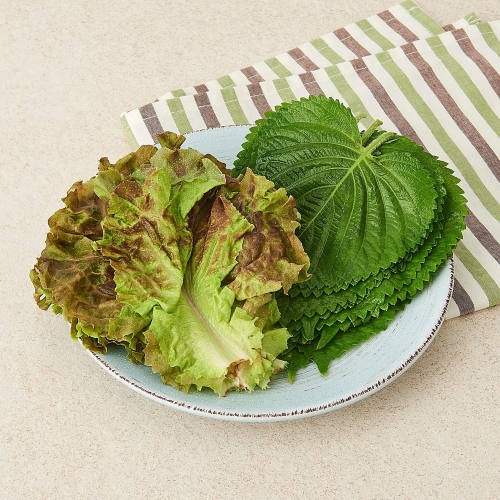 [�Ҹ�] ģȯ�� ����&����