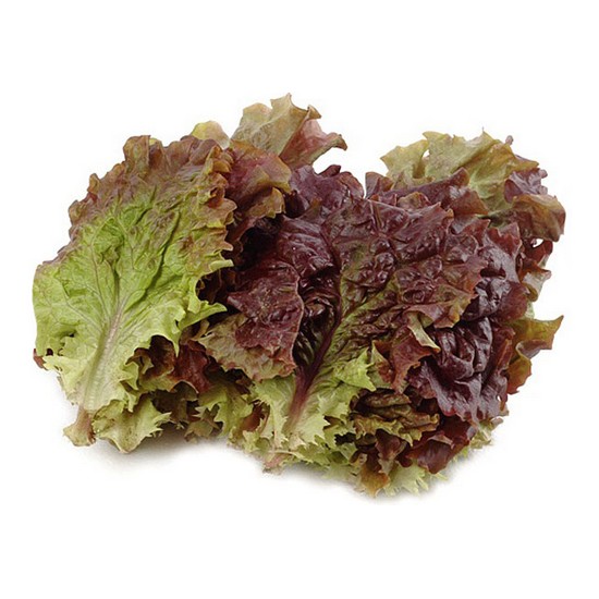 적상추 250g
